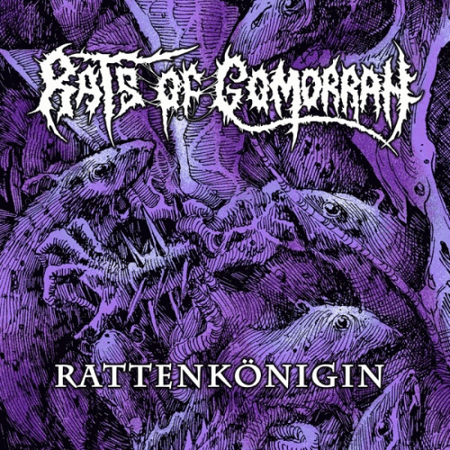 Rats Of Gomorrah : Rattenkönigin